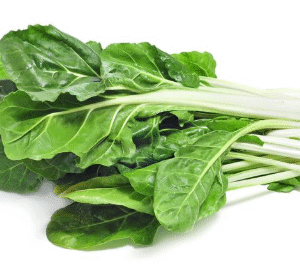 ACELGA