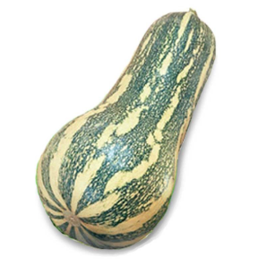 AHUYAMA