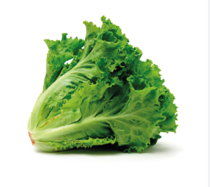 LECHUGA CRESPA C/U