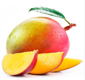 MANGO LIBRA