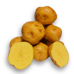 PAPA AMARILLA LIBRA