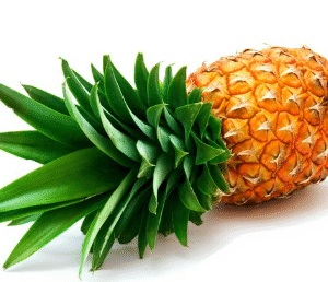 PIÑA LIBRA