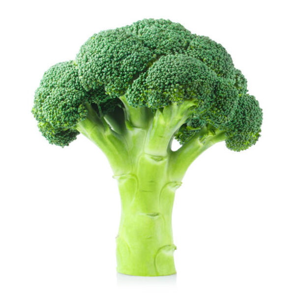 BROCOLI LIBRA