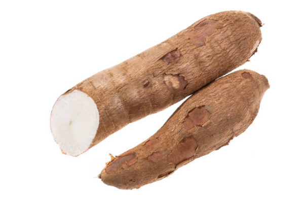 YUCA LIBRA