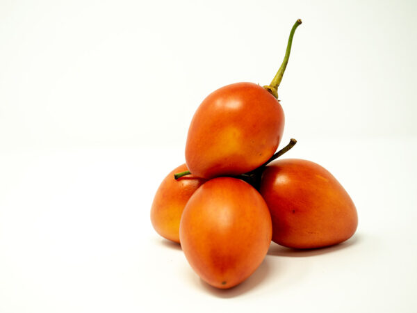 TOMATE DE ARBOL LIBRA